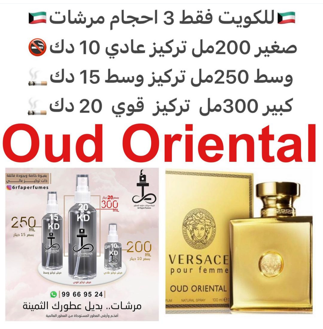 مقدمه العطر الورد, الزعفران و فريزيا; قلب العطر الباتشولي, البنفسج و رقيب الشمس; قاعده العطر تتكون من العود, الجلد, خشب الصندل و الفانيلا