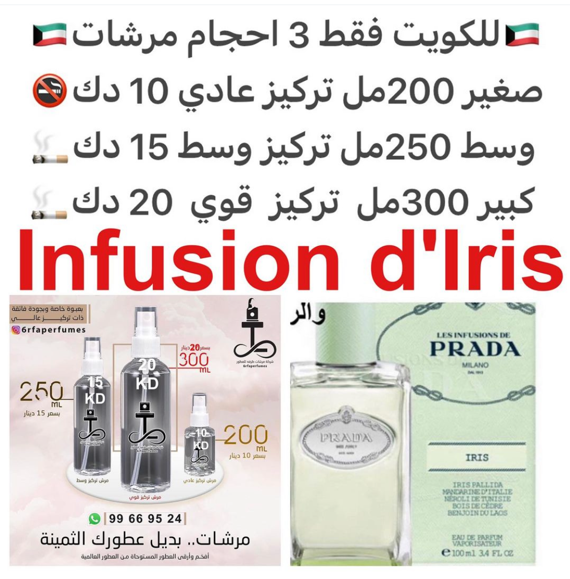 معلومات عن العطر زهور السوسن, أخشاب الأرز, زهر البرتقال التونسي, الجاوي و البخور. للطلب ارسال صور عطوركم من انستقرامي والعنوان وحجم العطر المطلوب على وتس اب 99669524 #طرفه_للعطور #طرفه_برادا