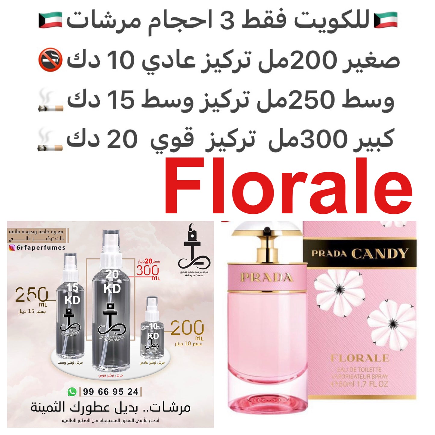 مقدمه العطر ليمونسيلو; قلب العطر الفاوانيا ; قاعده العطر تتكون من الكاراميل, الجاوي, العسل و المسك. #tarfaprada #طرفه_برادا للطلب ارسال صور عطوركم من انستقرامي والعنوان وحجم العطر المطلوب على وتس اب 99669524 #طرفه_للعطور