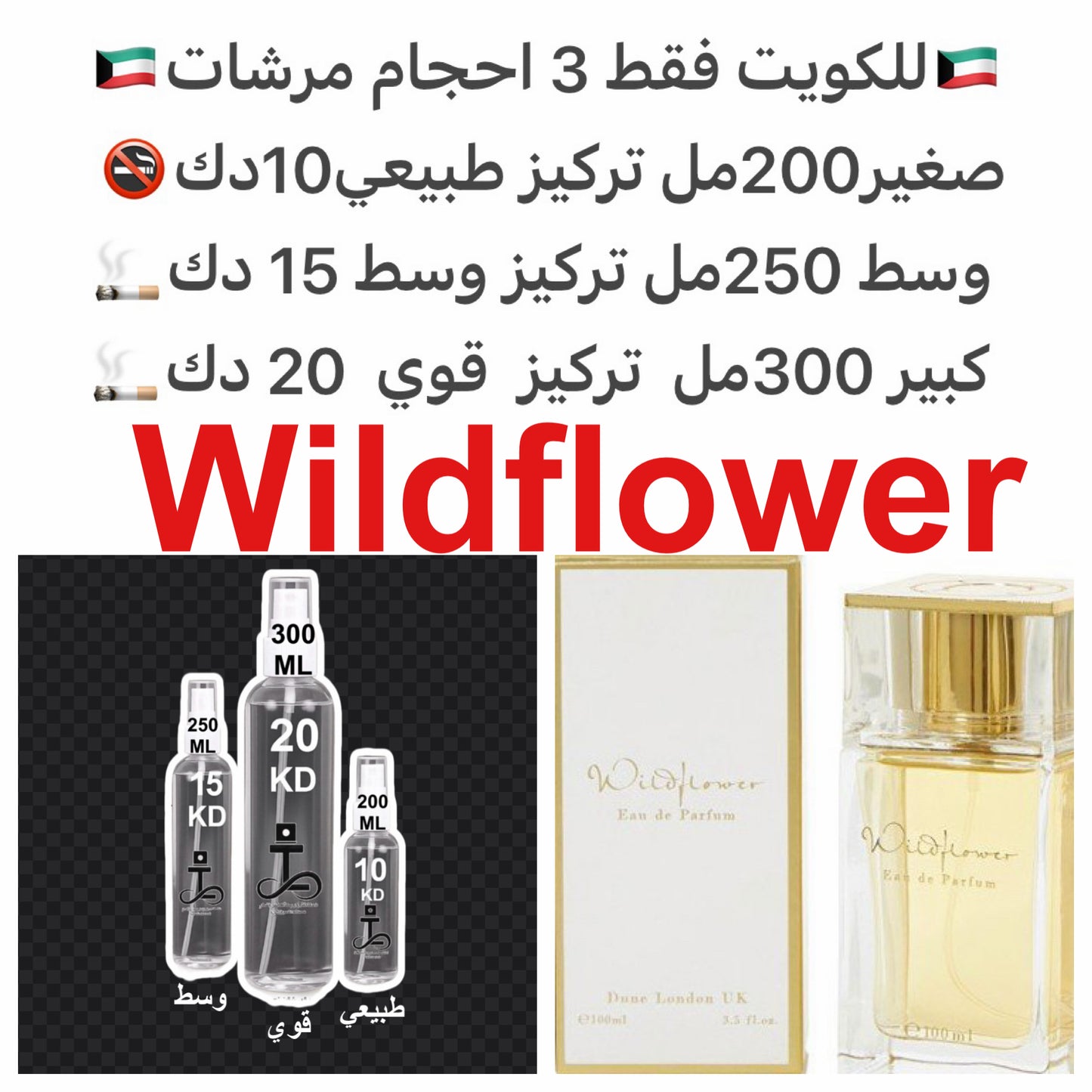  (النوتات العليا): مزيج منعش من البرغموت، الماندارين (اليوسفي)، والفاوانيا المشرقة.القلب (النوتات الوسطى): باقة غنية من الزهور البرية، والياسمين، والورد الوردي الناعم.القاعدة (النوتات الأساسية): مستقرة على لمسات دافئة من الفانيليا الناعمة، المسك، وعنصر خ