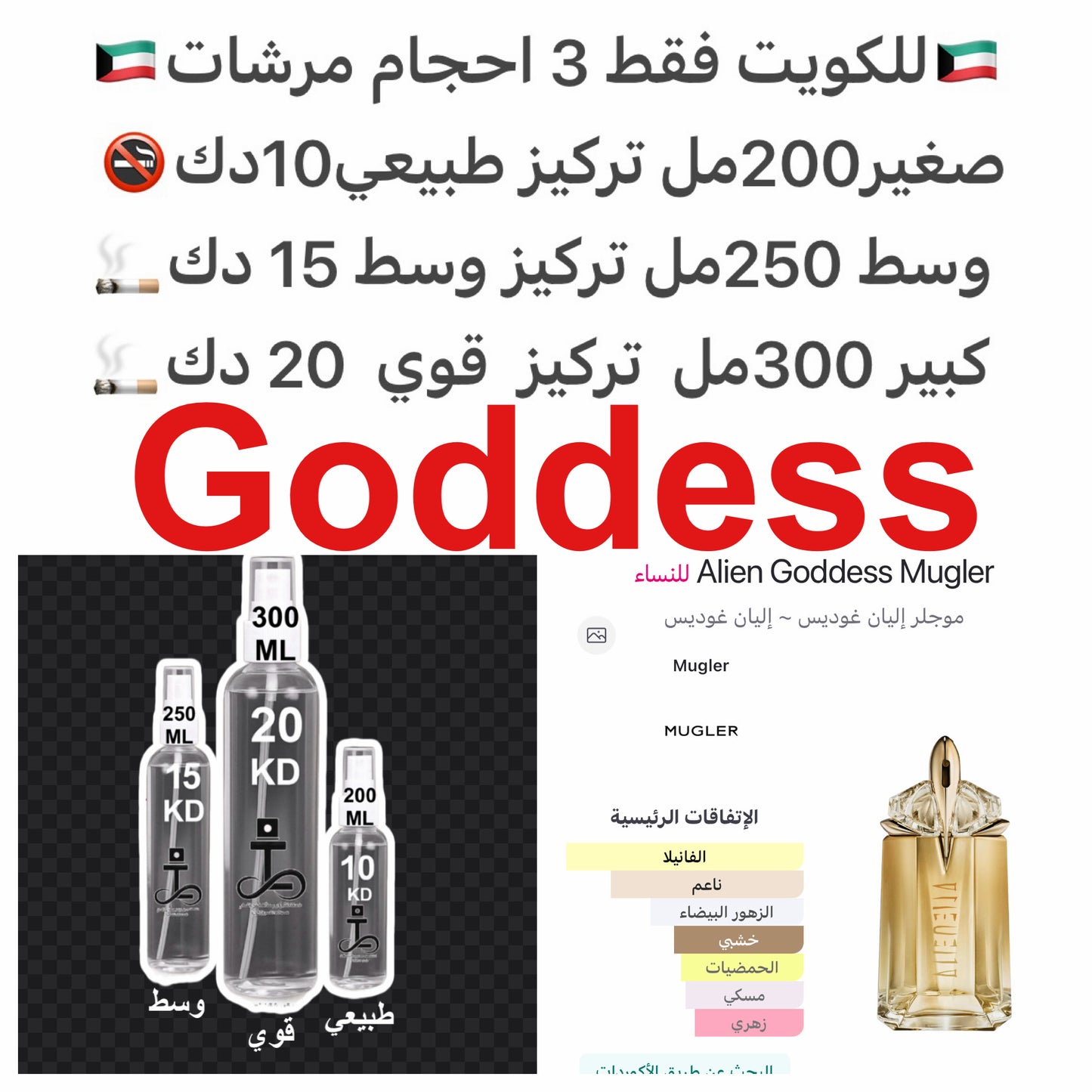 إفتتاحية العطر ماء جوز الهند و البرغموت; قلب العطر الياسمين و الهيلوتروب; قاعدة العطر تتكون من فانيليا بوربون و أخشاب الكشمير.#طرفه_موغلر للطلبات من الكويت ودول مجلس التعاون فقط كابجر من صور عطوركم الاصليه من متجرنا الاكتروني او جوجل او انستقرامنا او من ا
