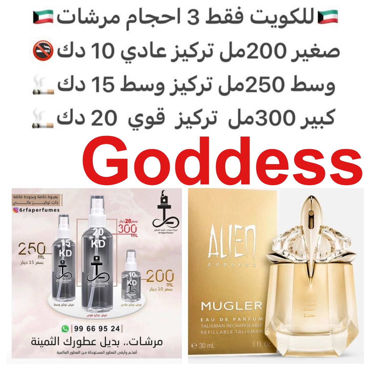 إفتتاحية العطر ماء جوز الهند و البرغموت; قلب العطر الياسمين و الهيلوتروب; قاعدة العطر تتكون من فانيليا بوربون و أخشاب الكشمير. #طرفه_اوركيد #طرفه_موغلر للطلبات فقط كابجر من صور عطوركم الاصليه من متجرنا الاكتروني او جوجل او انستقرامنا او من الاصلي المتوفر