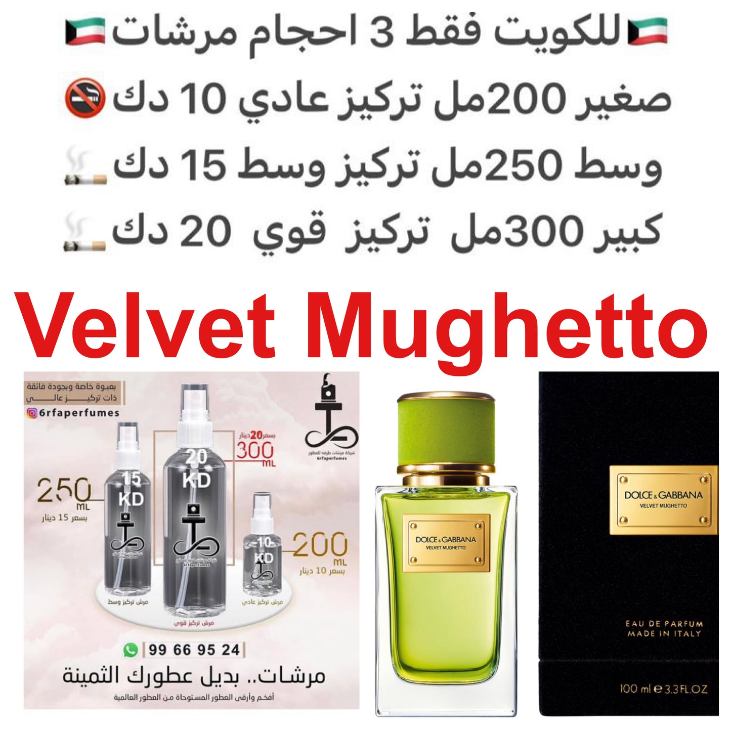 ‏‎إفتتاحية العطر البرغموت, الفلفل الوردي و الكشمش الأسود; قلب العطر زنابق الوادي, الماغنوليا و الباتشولي; قاعدة العطر تتكون من أخشاب الكشمير و خشب الصندل.#طرفه_دولجي_قبانا للطلبات من الكويت ودول مجلس التعاون فقط كابجر من صور عطوركم الاصليه من متجرنا الاكت