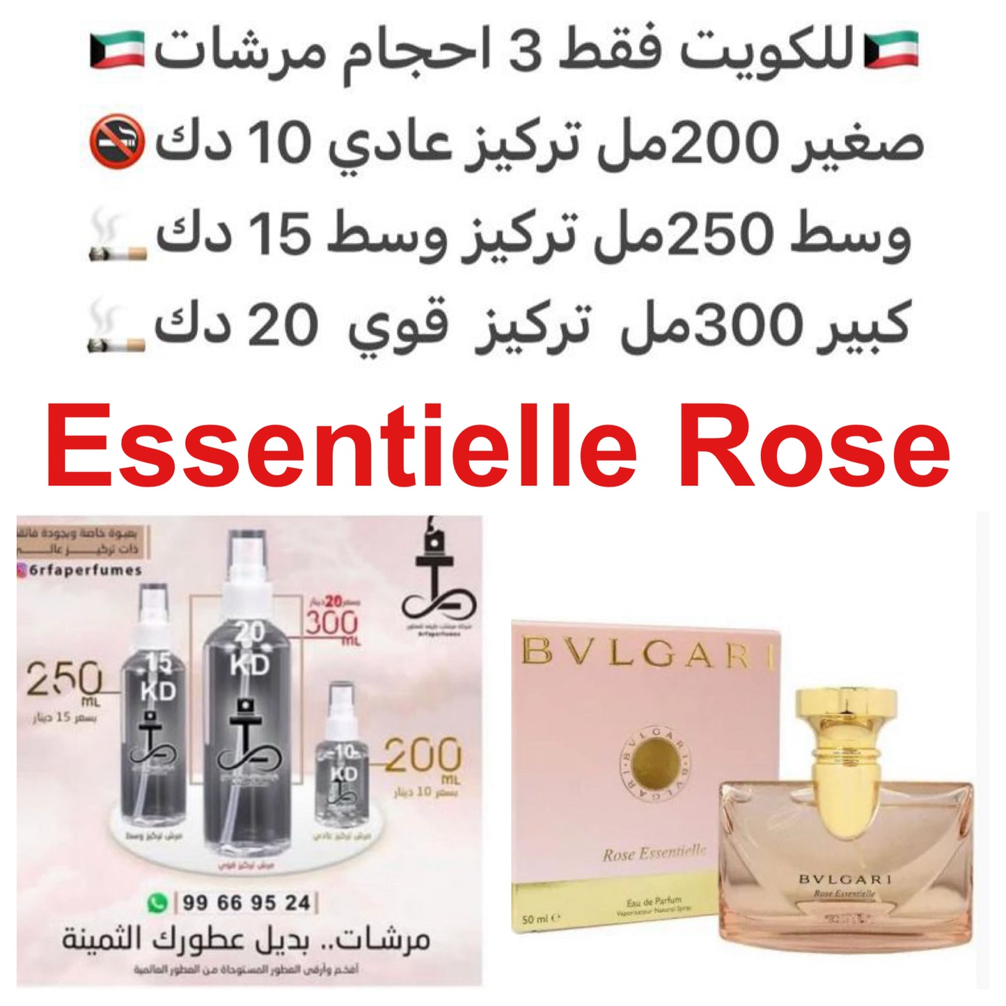 إفتتاحية العطر الورد, البنفسج و توت العليق; قلب العطر ورد طائفي, الميموزا و الياسمين; قاعدة العطر تتكون من المسك, خشب الصندل, الباتشولي و أخشاب الغاياك.#طرفه_بولقاري #طرفه_روز للطلبات من الكويت ودول مجلس التعاون فقط كابجر من صور عطوركم الاصليه من متجرنا ا